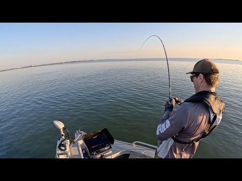 Видео: Эта снасть не для этого создана! | Большая рыба на BFS! — Прибрежная рыбалка в Брисбене