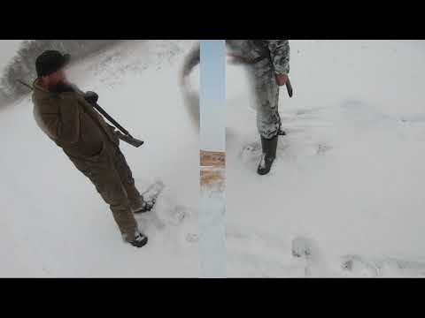 Видео: тропим зайца 25 11 2019
