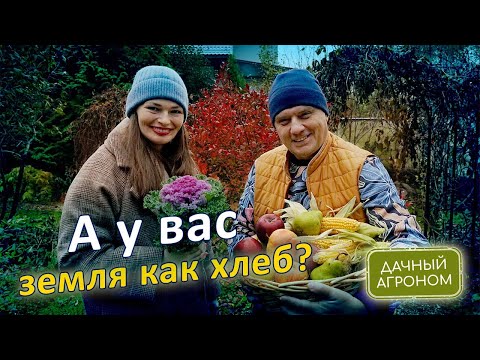 Видео: ПОШАГОВО Сделай ЛЮБУЮ почву как ХЛЕБ Дачный агроном