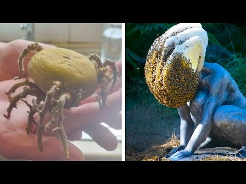 Видео: Фото, которые ломают привычное восприятие мира