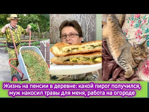 Видео: Жизнь на пенсии в деревне: какой пирог получился, муж накосил травы, сегодня у нас рыбный день