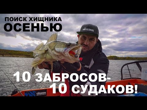 Видео: 10 ЗАБРОСОВ -10 СУДАКОВ! Поиск ЩУКИ и СУДАКА осенью. РЫБАЛКА МЕЧТЫ! Джиг-Спиннинг.