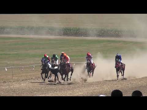 Видео: „Конни надбягвани  - Завет“ 31 юли, 2021 г.