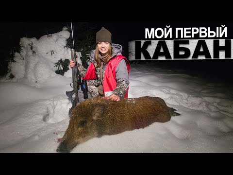 Видео: Мой первый кабан / Охота на кабана с вышки