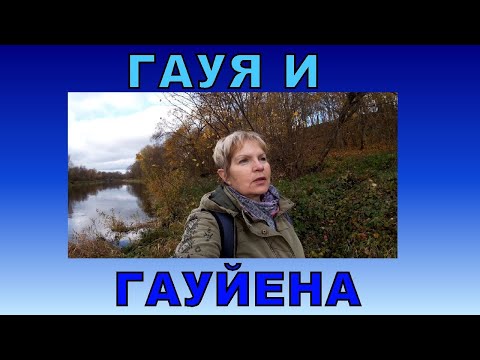 Видео: Гауя и Гауйена. Латвийская река, поместье и немного истории.