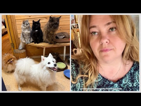 Видео: Куда исчезли морщины? Как мы ЭТО довезли из Турции? Домашний дачный влог обо всем
