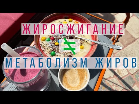 Видео: ХУДЕЕМ К СТАРТУ | Как сжечь лишний жир, сохранить мышцы и тренироваться в полную силу