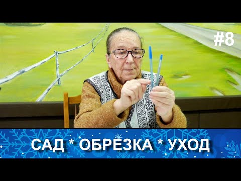 Видео: Что садоводы хотят знать по уходу за садом. Тонкости обрезки и формировки плодовых деревьев.