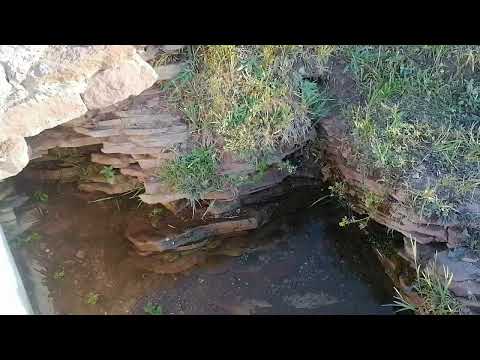 Видео: Аркалык, живи родник живи!