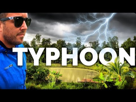 Видео: Тайфуны, дешевый джин и непослушные собаки…