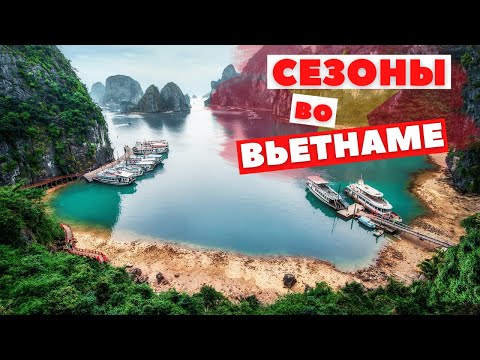 Видео: Лучший месяц для путешествия во ВЬЕТНАМ!?