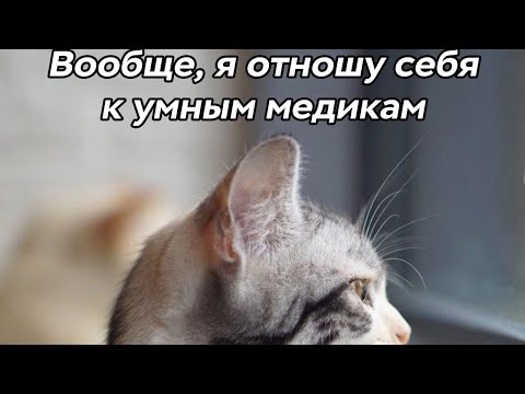 Видео: Урок 9. Правила кормления