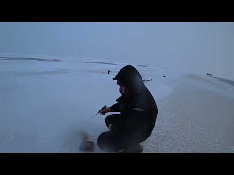 Видео: Рыбинское водохранилище первый лед.