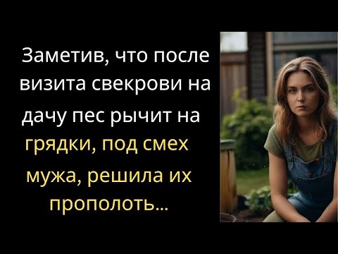 Видео: Заметив, что после визита свекрови на дачу пес рычит на грядки, под смех мужа, решила их прополоть…