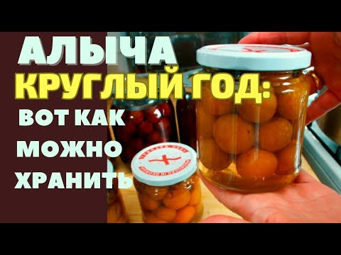 Видео: АЛЫЧА БЕЗ ХОЛОДИЛЬНИКА: ЗАКРЫВАЮ НА ЗИМУ ДЛЯ ПОДКИСЛЕНИЯ БЛЮД. КОМПОТ С ЧЕРЕШНЕЙ ГОТОВЛЮ В АВТОКЛАВЕ