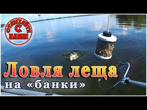 Видео: Лещ на банки. Впервые пробую новую снасть. Рыбалка на Волге.