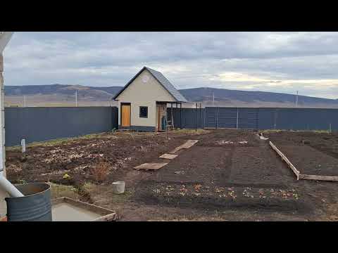 Видео: 28 октября 2025 г.