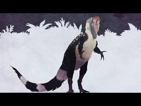 Видео: Моё мнение по обнове) ¦ The Cursed Isle🦖