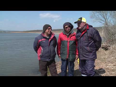 Видео: Каракуди на фидер