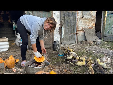 Видео: Як починається мій ранок