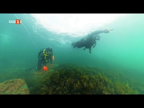 Видео: Светът на подводния Несебър - част 2, Туризъм.БГ - 01.11.2025 по БНТ