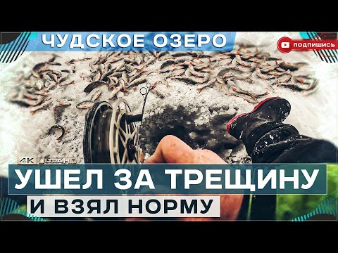 Видео: Ушел от всех за трещину и взял норму по окуню меньше чем за 3 часа на мушку