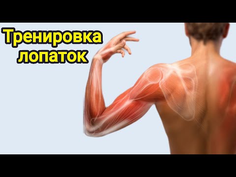 Видео: УПРАЖНЕНИЯ ДЛЯ МОБИЛЬНОСТИ И ПОДВИЖНОСТИ ЛОПАТОК