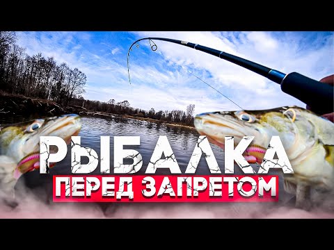 Видео: Рыбалка на судака перед запретом. Часть 1.