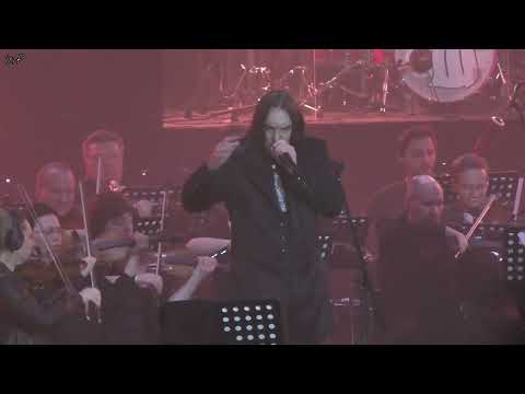 Видео: Не беда/ Алексей Горшенёв/Кукрыниксы. Лучшее/ 24.05.2023