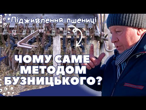 Видео: ПІДЖИВЛЕННЯ ПШЕНИЦІ | Чому саме методом Бузницького?