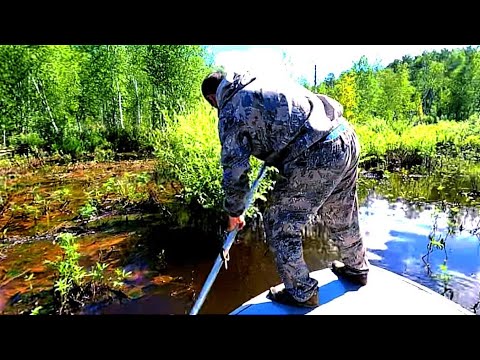 Видео: Через гиблые болота в реальную глушь, чтобы взять эту рыбу.