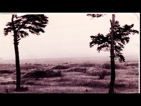 Видео: Путь из Варяг в Провал