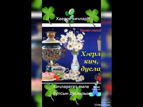 Видео: Ялгызлыкка булмый күнегеп