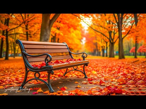 Видео: Успокаивающая, расслабляющая музыка снижает стресс и помогает не думать слишком много.