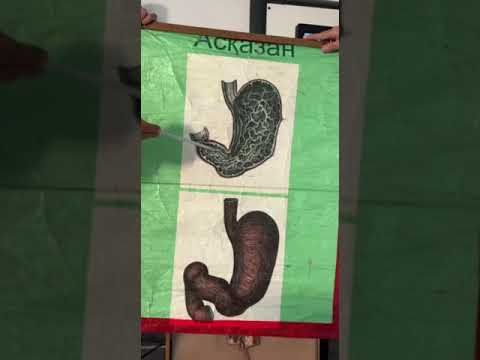 Видео: Асқазан