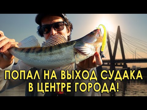 Видео: Отловился на Казанке за 2 часа рыбалки! Лучшая проводка по тёплой воде.