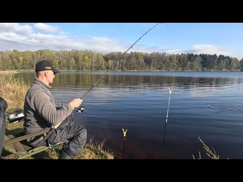 Видео: Нашёл Красивое место где мало Людей рядом с городом. Простая рыбалка на Фидер весной с берега!