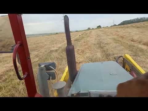 Видео: Киргизстан и эспарцет, как он с ним справляется?