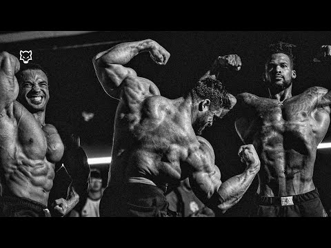 Видео: ЗЛОЙ ВОЛК 🐺 — Вся неделя