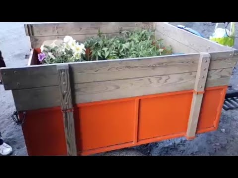 Видео: #ТорговляНаТрассе#15 июня