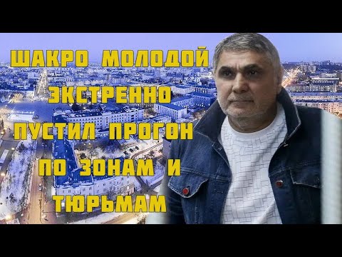 Видео: Шакро  молодой  пустил  прогон   по  тюрьмам  и  зонам