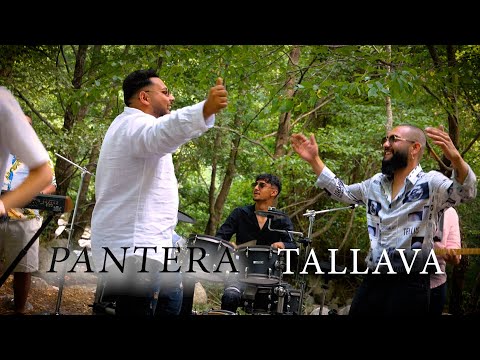 Видео: Stefcho Band - PANTERA TALLAVA 2025 Стефчо бенд - Пантера Таллава 2025