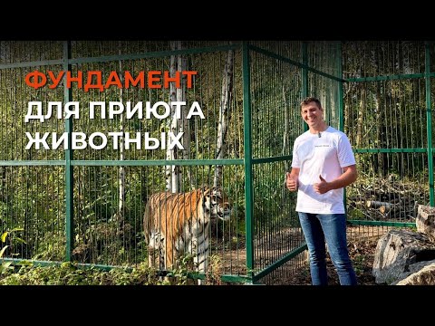 Видео: Свайный фундамент для приюта животных / Дом Тигра - Tiger House