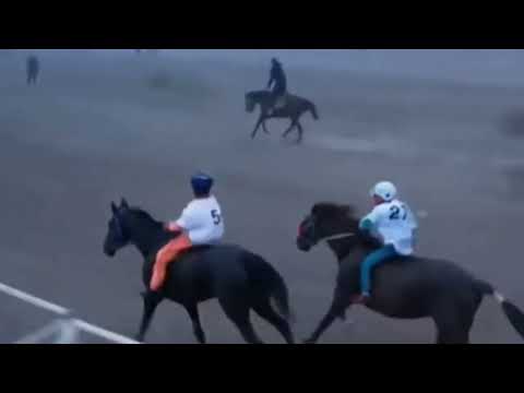 Видео: Жел менен жарышкан Кара Кыз аргымагы Казакстанда өткөн ат чабышта биринчи келди.