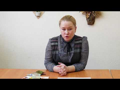 Видео: Мастер-класса Нетрадиционные техники рисования