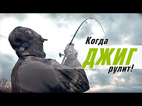 Видео: Когда ДЖИГ рулит. Рыбалка в Вольске осенью