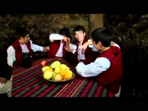 Видео: Гуна Иванова - Сестра брата кани