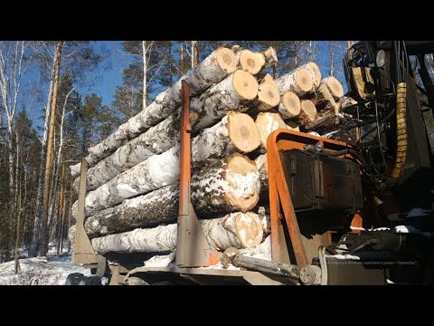 Видео: Урал. лесовоз. Рейс за березой.  Дал имя Егорке