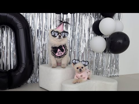 Видео: Руди всегда чувствовала себя щенком, но теперь ей 10! Отпразднуйте с нами!