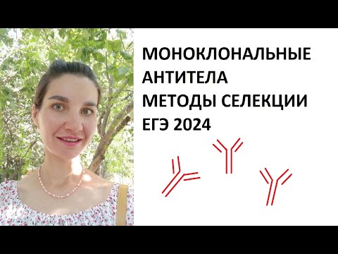 Видео: Методы селекции. Получение моноклональных антител.